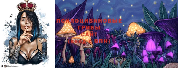 таблы Дмитровск