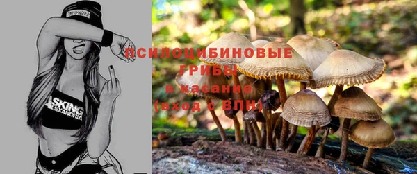 марки lsd Дмитриев