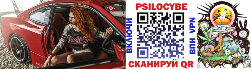 где найти Облучье Псилоцибиновые грибы Magic Shrooms